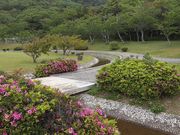 こんぱらさんの初立池公園の投稿写真3