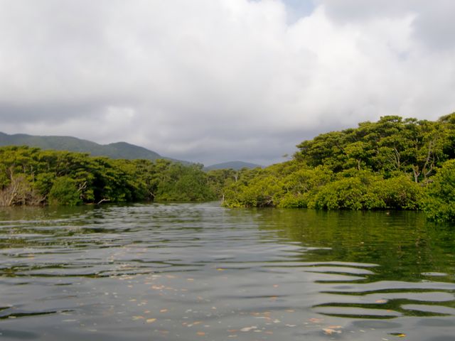 仲間川遊覧船