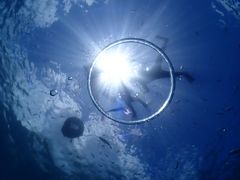 ふう吉さんのB-natureへの投稿写真1
