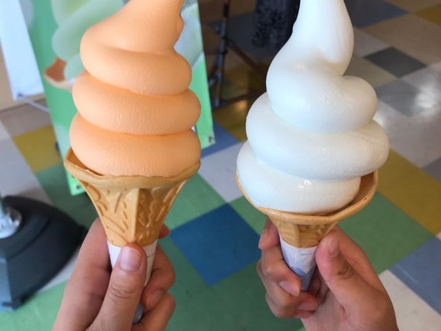 大きなソフトクリームに子供たちも大喜び_伊豆フルーツパーク
