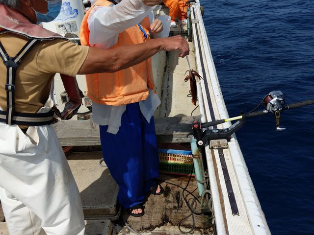 釣れた〜_釣船第18金龍丸