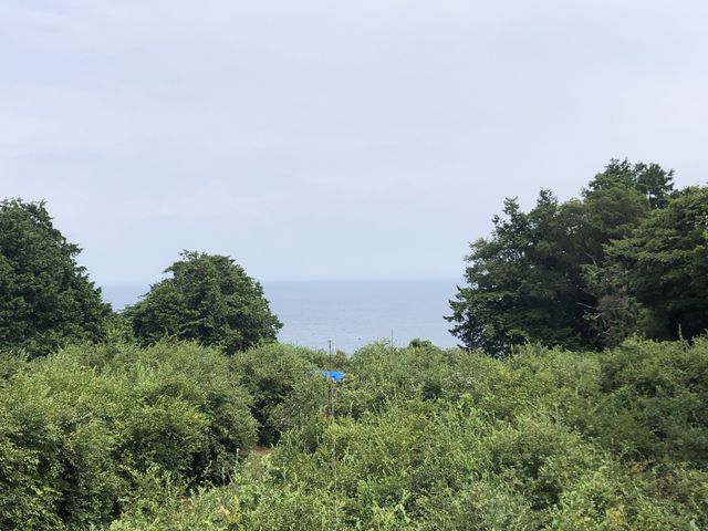 海が見える_広石農園