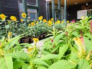 ナカアキさんの枕崎市文化資料センター南溟館の投稿写真2