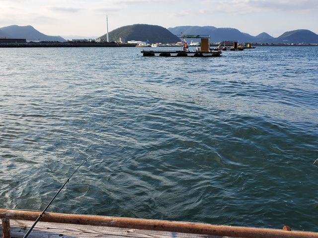 筏_大屋冨の釣筏