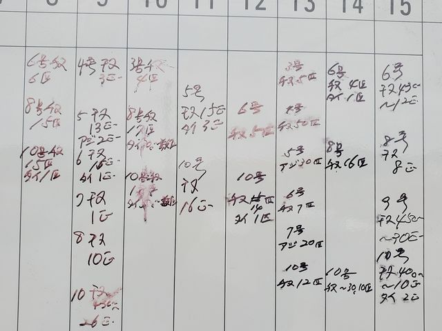 釣果2020.09.08〜15_大屋冨の釣筏