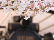 Yanwenliさんの舟戸児童公園の投稿写真3