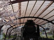 Yanwenliさんの舟戸児童公園の投稿写真4