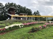 アロマさんの農村公園フルーツパークにきの投稿写真1