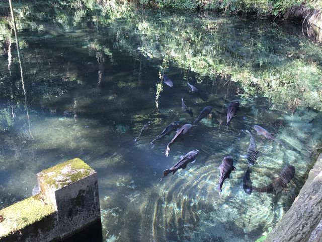 ひろちゃんさんの御瀧神社の湧水の投稿写真1