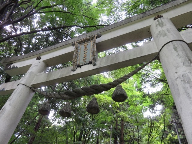 宝登山梅百花園