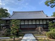 スターさんの瑞光寺の投稿写真1