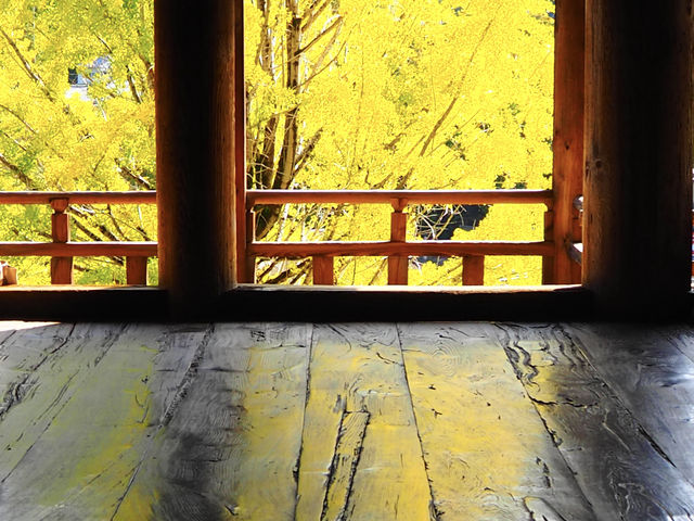 床に映える黄色が幻想的です_豊国神社(千畳閣)