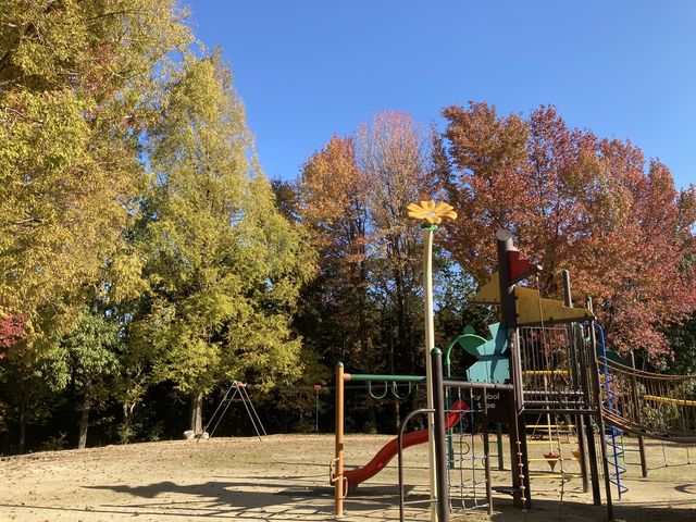 銀杏や紅葉がとてもきれいで、子どもたちも楽しめる遊具がいっぱいです。_大池公園ふれあいの里 ログハウス
