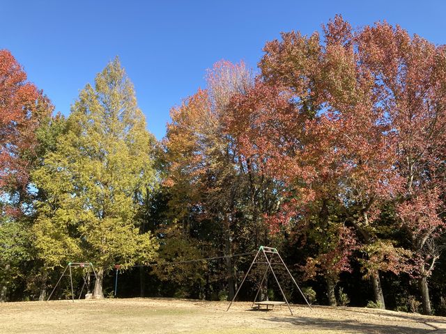 少し高台の場所にあり、景色が抜群ですね。_大池公園ふれあいの里 ログハウス