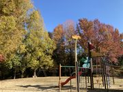 まぁちゃんさんの大池公園ふれあいの里 ログハウスの投稿写真1