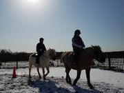 いっくーさんのM's stableの投稿写真1