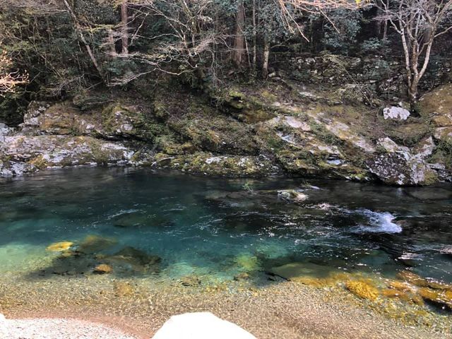 tarrさんの白髪山ふれあいの村休養センターの投稿写真3