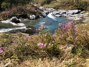 tarrさんの汗見川渓谷の投稿写真3