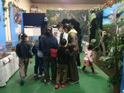小次郎さんのビートルワールドの投稿写真1