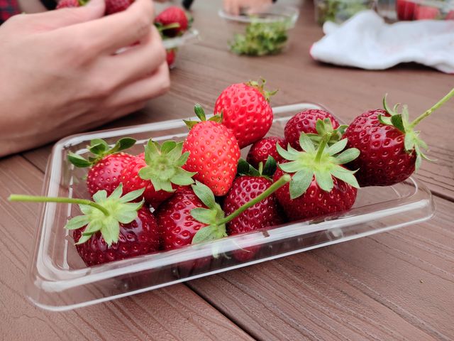 黒いちごも沢山!_ちあきのいちご園