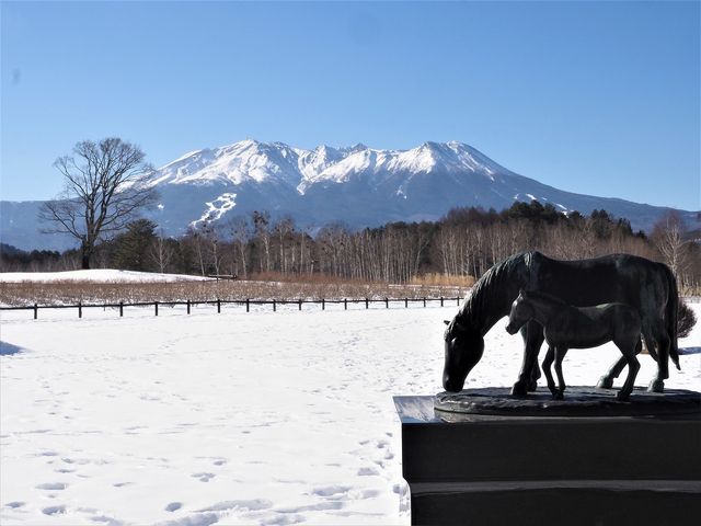 木曽馬の里と御嶽山_御嶽山(長野県飯島町)