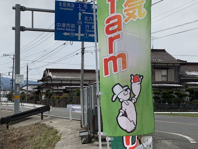 今年は旗があったのですぐに場所がわかりました
_元気farm
