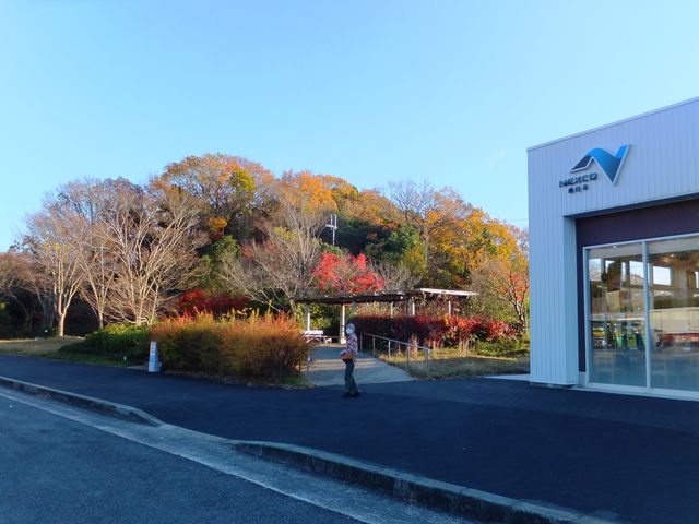 屋外休憩スペースは紅葉も楽しめます。_中国自動車道(下り)赤松パーキングエリア