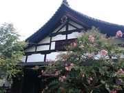 たれれったさんの観智院の投稿写真1