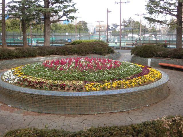 花壇とテニスコート。_大蔵運動公園