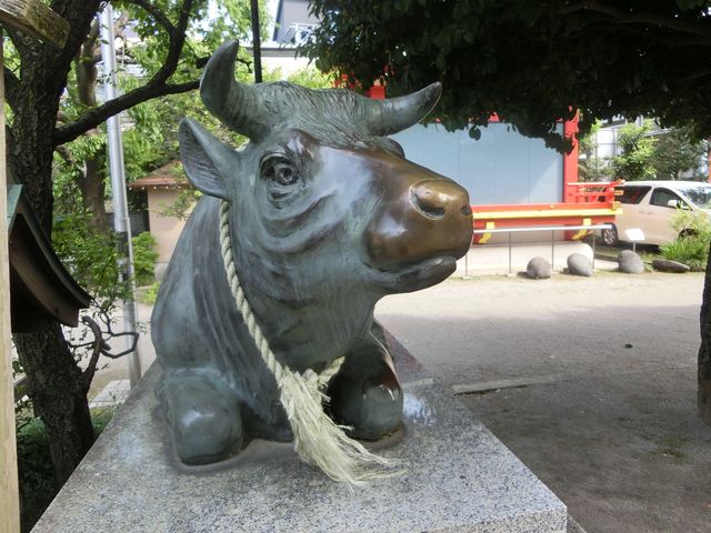 天神様と牛。_菅原神社