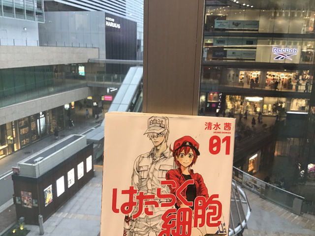 隣のビルから。_あべのハルカス
