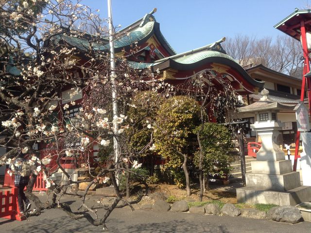 ほのかに香る梅の季節は境内に華があります_居木神社