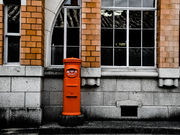 リョウさんの龍野の投稿写真3