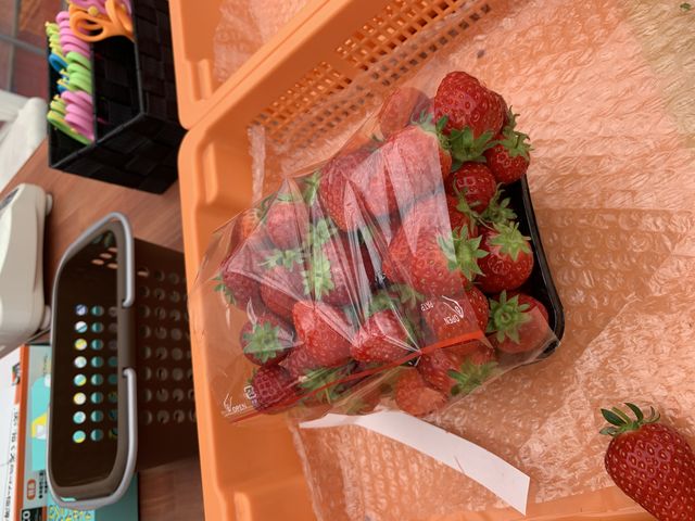 70個_上原さんちのいちご畑