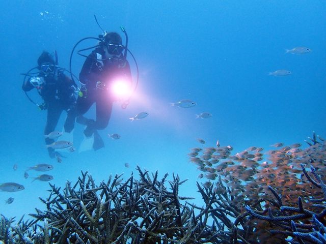 西表島ならではの魚などたくさん紹介してもらえました_西表 遊びなーら