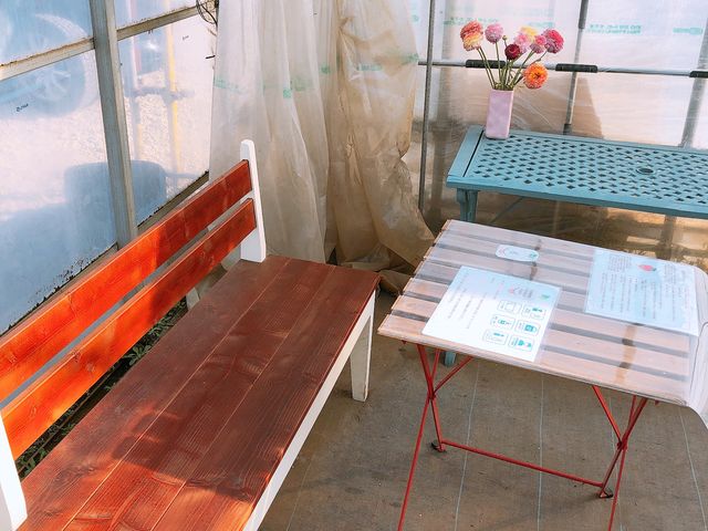 バイキング形式だから、座って食べられる!両手にあれやこれや持たなくて済むのがありがたい_金子苺園