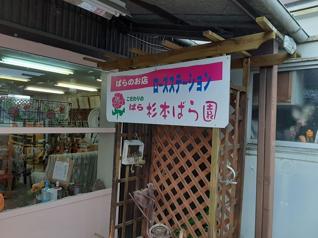 内閣総理大臣賞受賞のばら園です_杉本ばら園