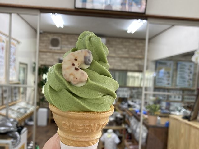 幼虫お菓子つきで350円_たつのみんなの昆虫館