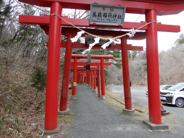 朱色の鳥居がたくさん。目立っていました。_萬蔵稲荷神社