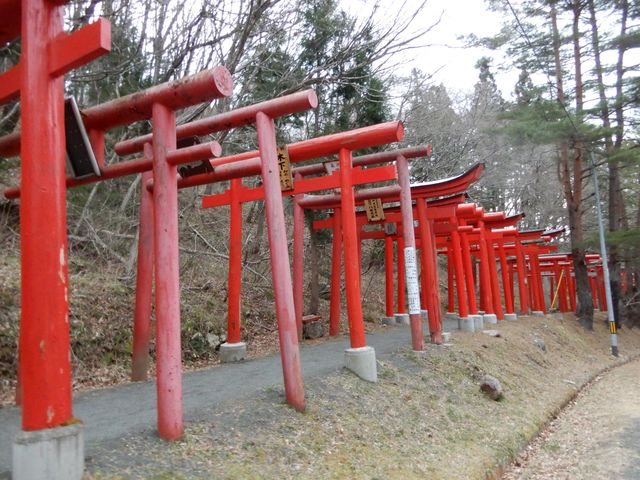 これをくぐって歩いて行くとどこに辿り着くのかなあ、と思いました。_萬蔵稲荷神社