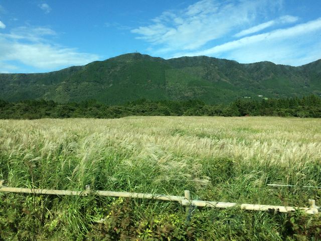 近くの仙石原高原_箱根芦ノ湖山荘