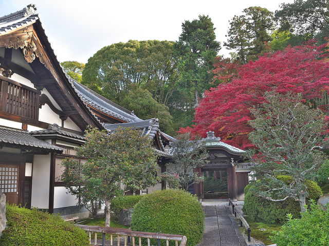栄摂院_栄摂院