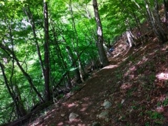 三頭山