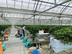 ともぞさんのお陽様農園への投稿写真1