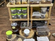 さゆさんのたつのみんなの昆虫館の投稿写真5