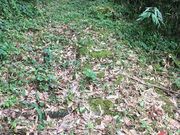 hiroさんの五馬街道の投稿写真3