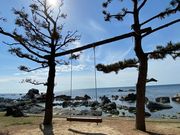 みどりちゃんさんのMAREの投稿写真1