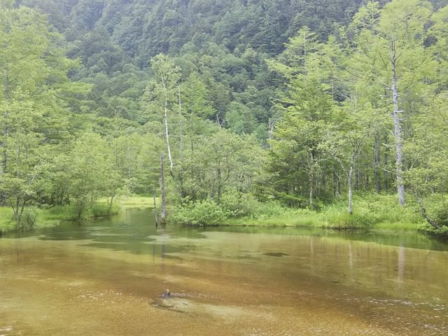 田代池