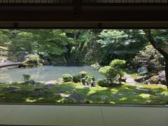 慈恩禅寺てっ草園の写真1