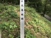Shotaさんの大島城址(台城公園)の投稿写真1